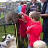 Young attendees at Mobile Zoo during Open Day 25th August 2012. Pic: T.Foy, Grange Frankfield Partnership.